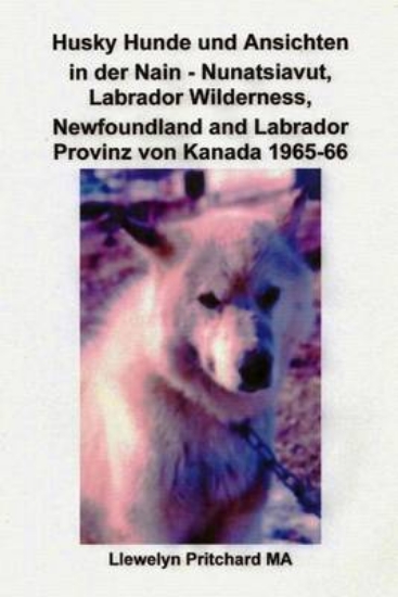 Picture of Husky Hunde Und Ansichten in Der Nain - Nunatsiavu