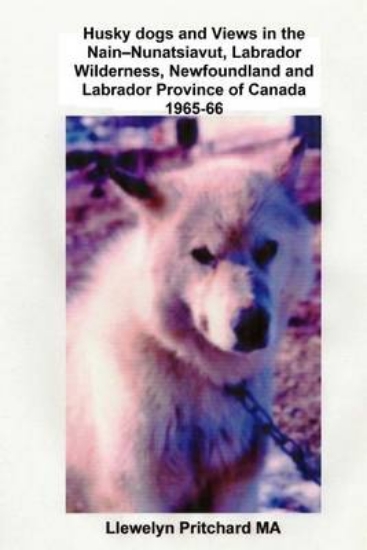 Picture of Husky Dogs and Views in the Nain-Nunatsiavut, Labr