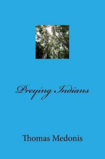 Picture of Preying Indians