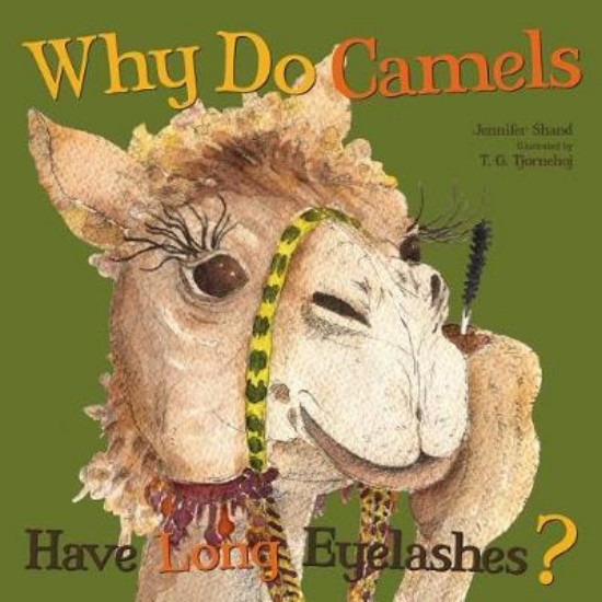 Picture of Why Do Camels Have Long Eyelashes?