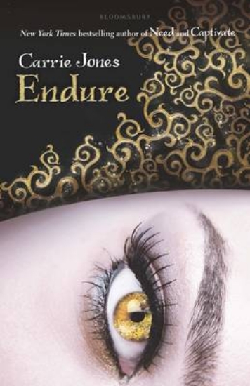 Picture of Endure