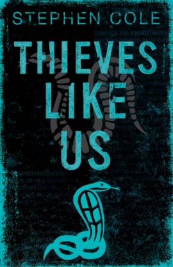 Picture of Thieves Like Us