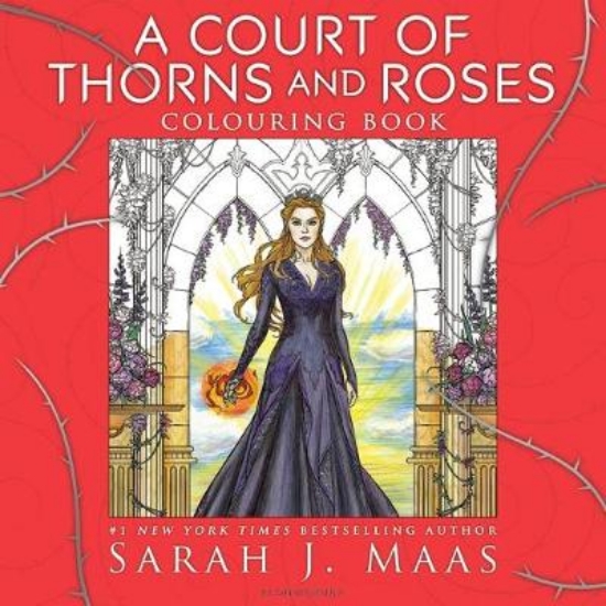 Picture of A Court of Thorns and Roses Colouring Book