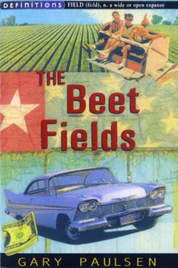 Picture of The Beet Fields