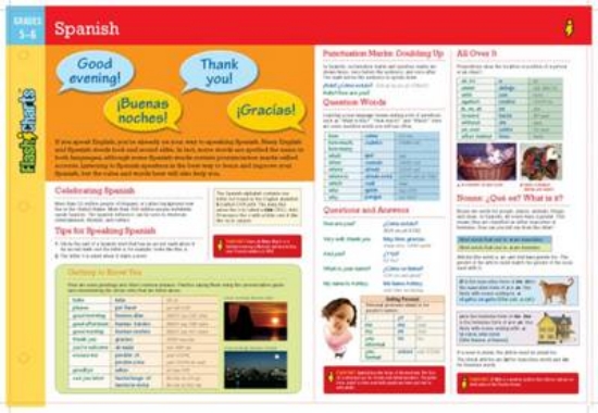 Picture of Spanish FlashCharts