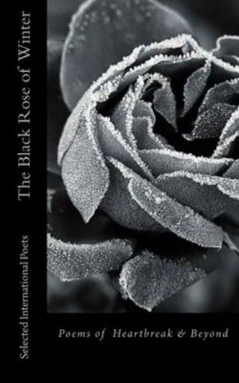 Picture of The Black Rose of Winter