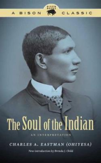 Picture of The Soul of the Indian