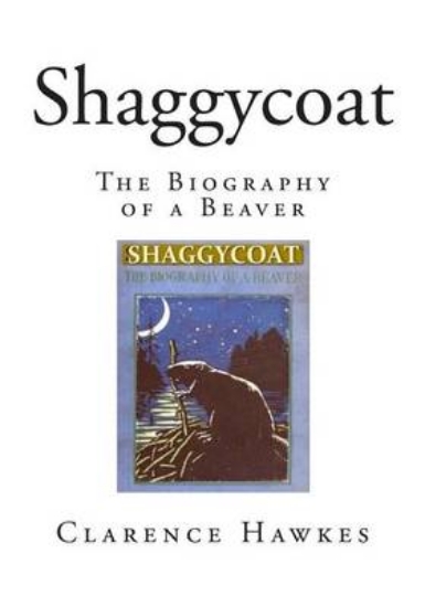 Picture of Shaggycoat