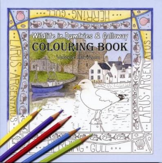 Picture of Wildlife in Dumfries & Galloway Colouring Book