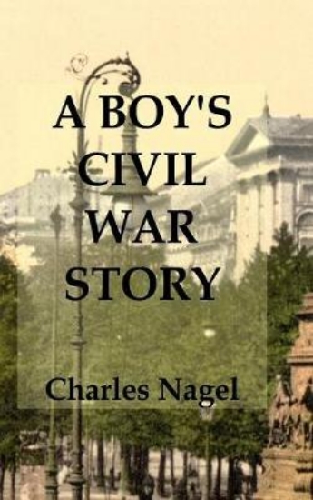 Picture of A Boy's Civil War Story