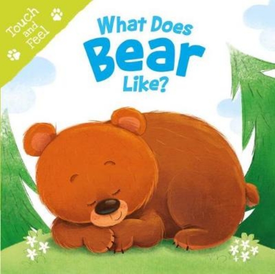 Picture of What Does Bear Like