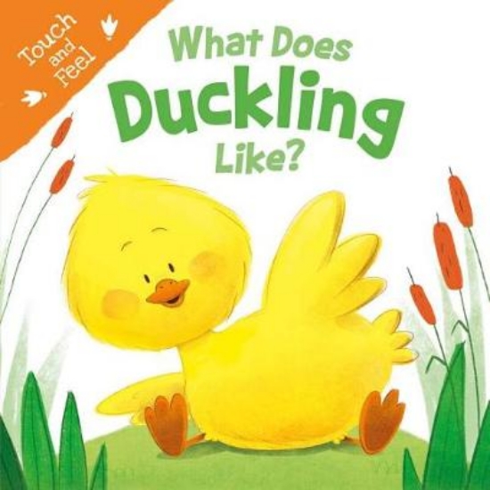 Picture of What Does Duckling Like