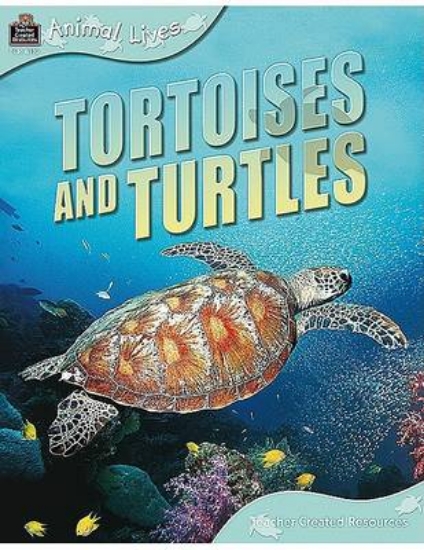 Picture of Animal Lives: Tortoises and Turtles