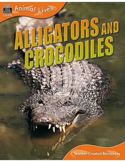 Picture of Alligators and Crocodiles