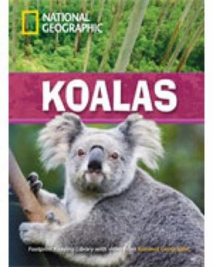 Picture of Koalas