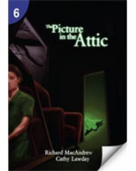 Picture of The Picture in the Attic: Page Turners 6