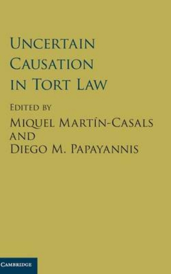 Picture of Uncertain Causation in Tort Law