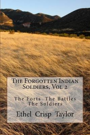 Picture of The Forgotten Indian Soldiers, Vol 2