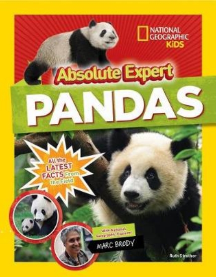 Picture of Absolute Expert: Pandas