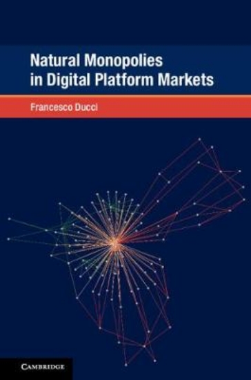 Picture of Natural Monopolies in Digital Platform Markets