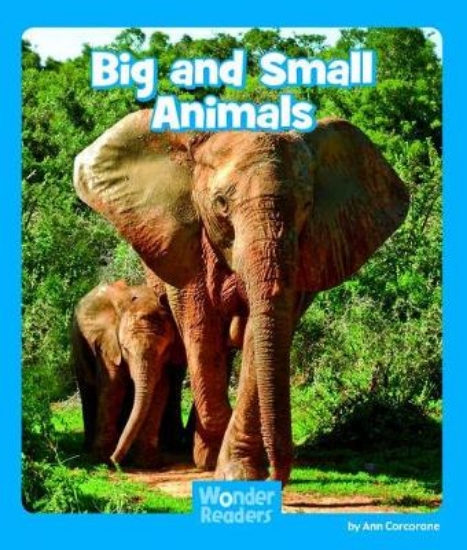 Picture of Big and Small Animals