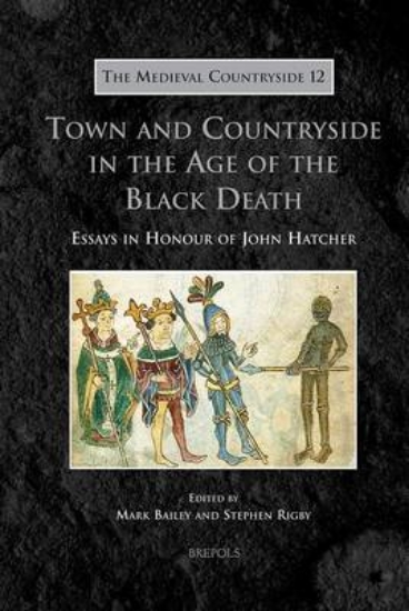 Picture of Town and Countryside in the Age of the Black Death