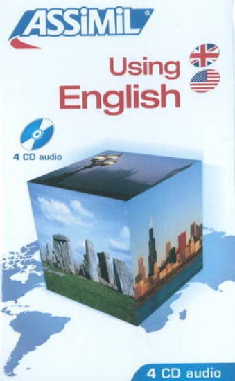 Picture of Using English