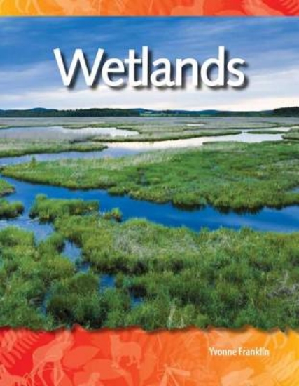 Picture of Wetlands