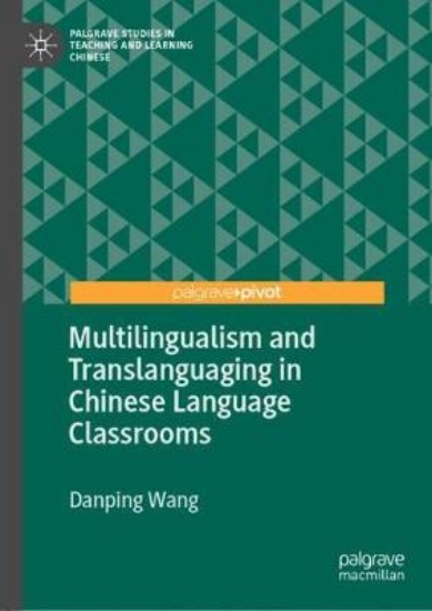 Picture of Multilingualism and Translanguaging in Chinese Lan