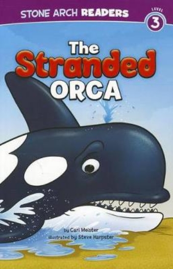 Picture of The Stranded Orca