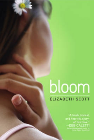 Picture of Bloom