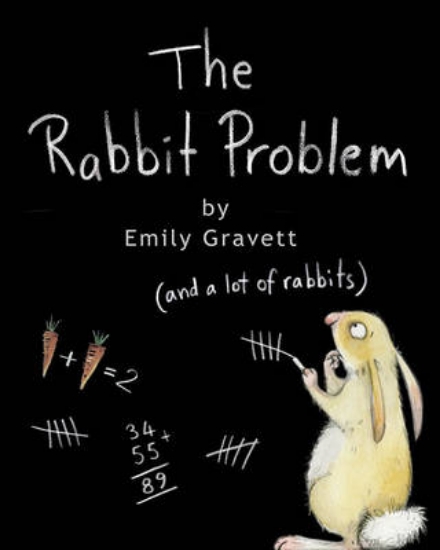 Picture of The Rabbit Problem