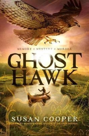 Picture of Ghost Hawk