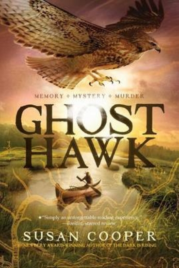 Picture of Ghost Hawk