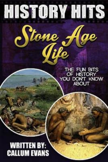 Picture of The Fun Bits of History You Don't Know about Stone