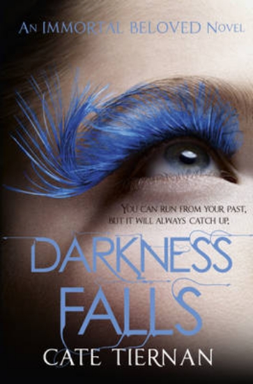 Picture of Darkness Falls (Immortal Beloved Book Two)