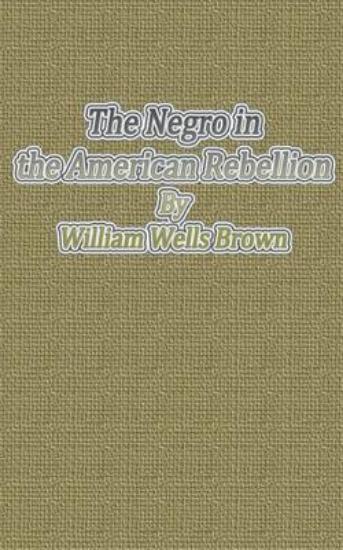 Picture of The Negro in the American Rebellion