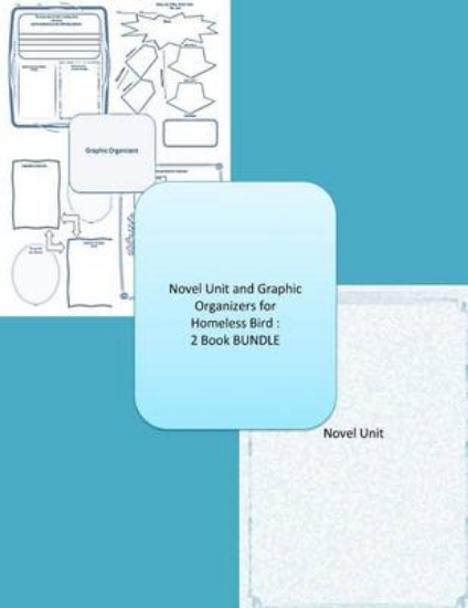 Picture of Homeless Bird Novel Unit Plus Graphic Organizers