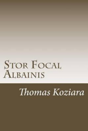 Picture of Stor Focal Albainis