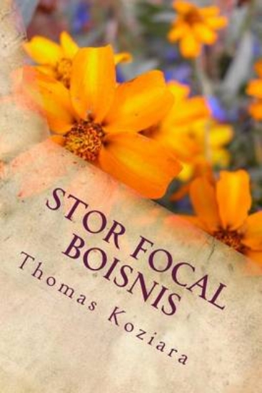 Picture of Stor Focal Boisnis