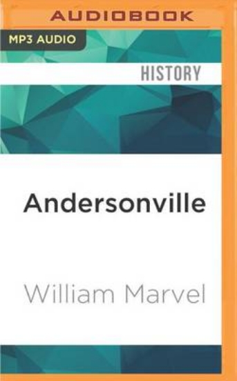 Picture of Andersonville