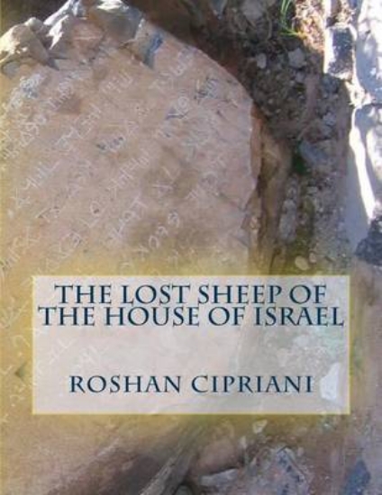 Picture of The Lost Sheep Of The House Of Israel