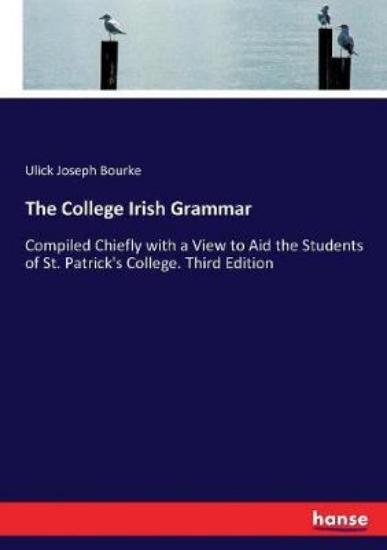 Picture of The College Irish Grammar