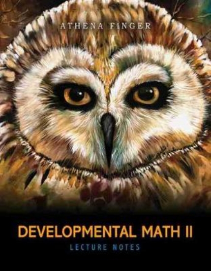 Picture of Developmental Math II: Lecture Notes