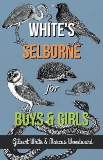 Picture of White's Selborne for Boys and Girls