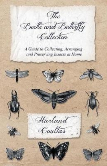 Picture of The Beetle and Butterfly Collection - A Guide to C