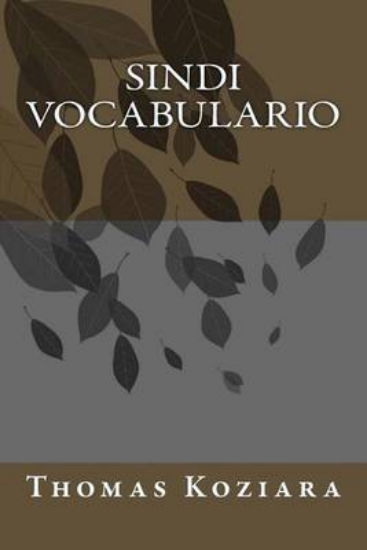 Picture of Sindi Vocabulario