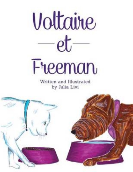 Picture of Voltaire Et Freeman