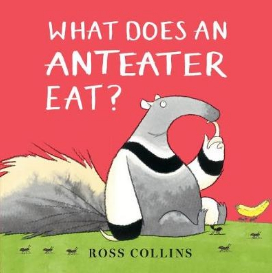 Picture of What Does an Anteater Eat?