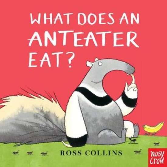 Picture of What Does an Anteater Eat?